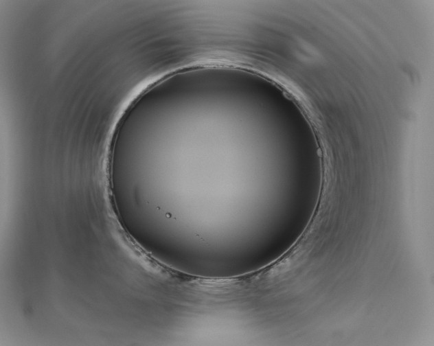 X0000113150864200909041232