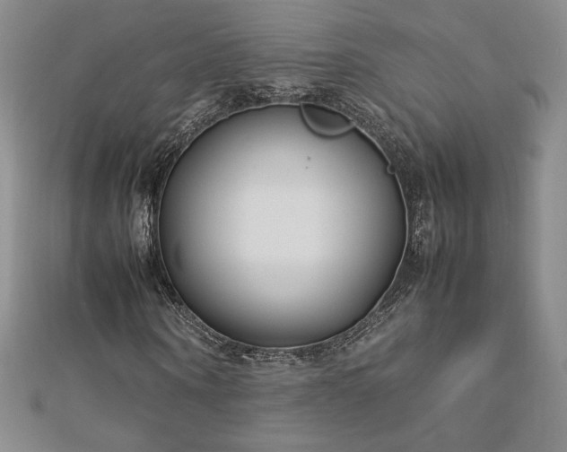 X0000113150866200909041231