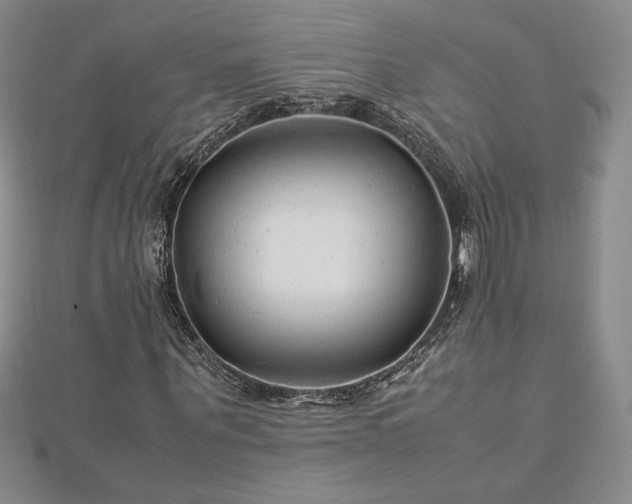 X0000113150867200909041231