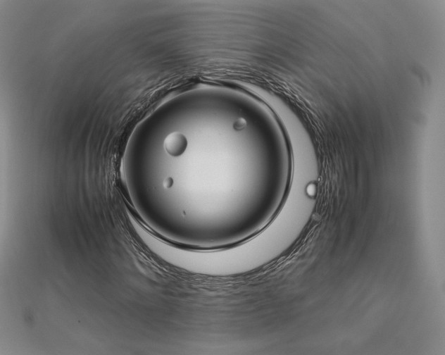 X0000113150868200909041231