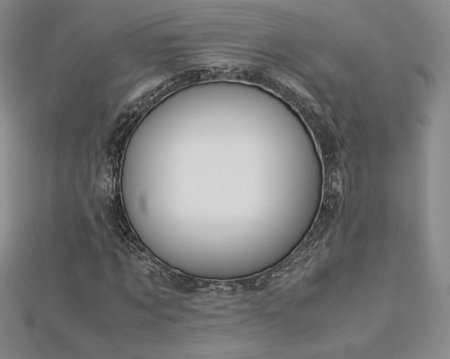 X0000113150869200909041231