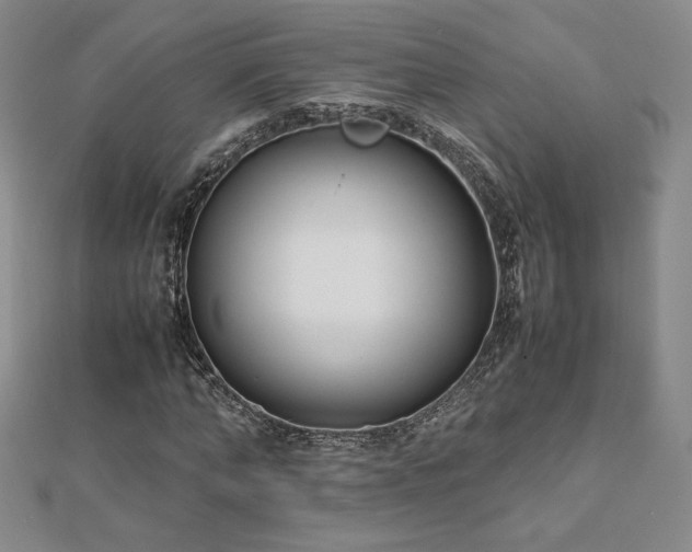 X0000113150870200909041231