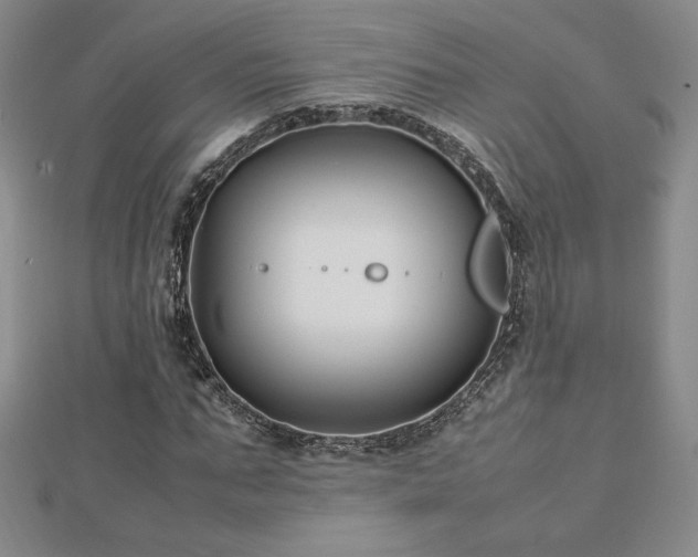 X0000113150871200909041231