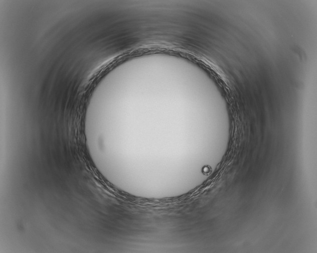 X0000113150872200909041231