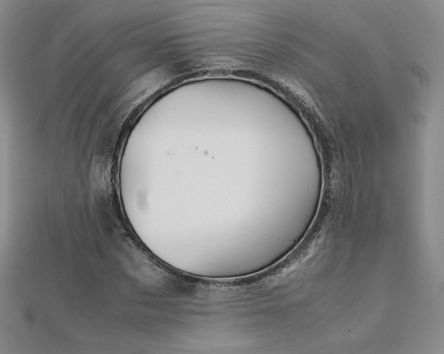 X0000113150873200909041231