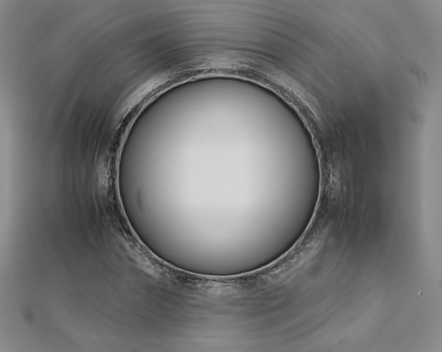 X0000113150874200909041231