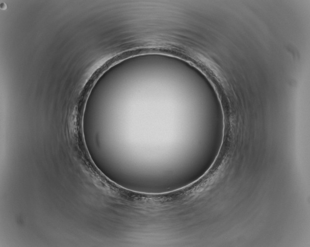 X0000113150875200909041231