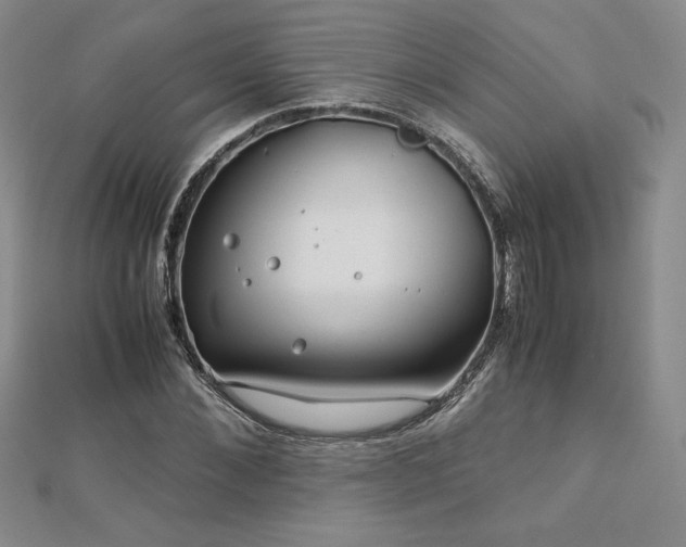 X0000113150876200909041231