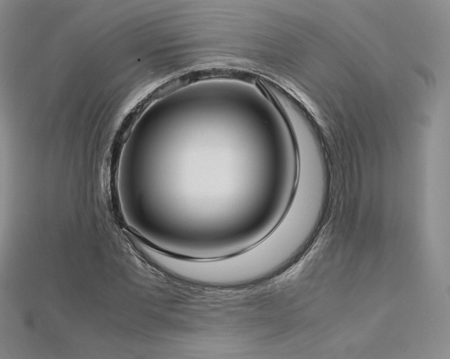 X0000113150877200909041231