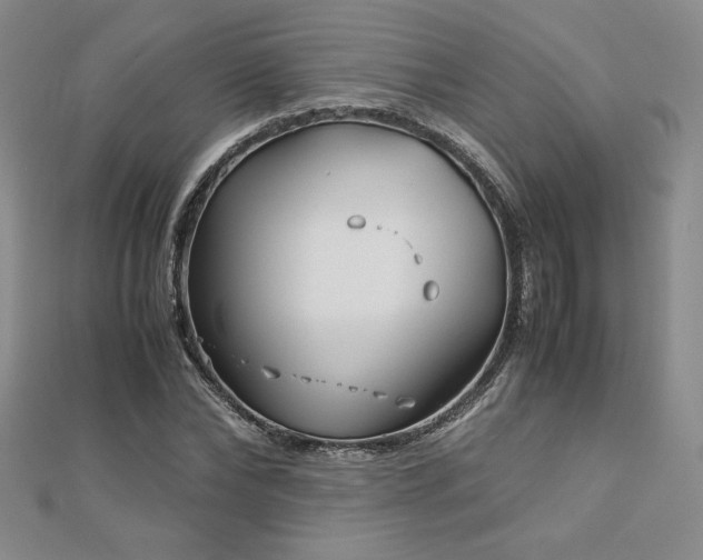 X0000113150878200909041231