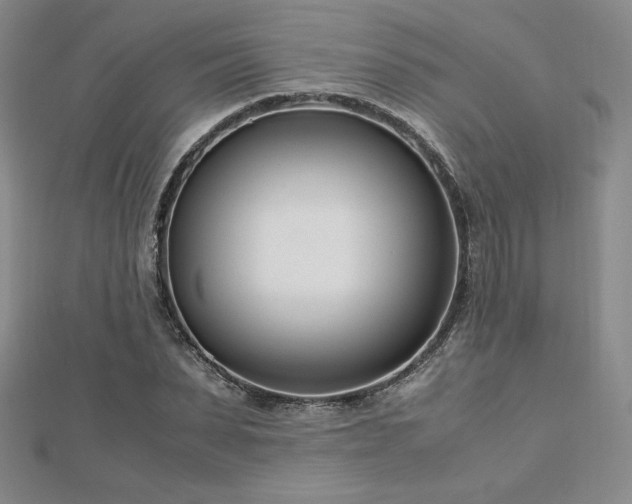 X0000113150879200909041231