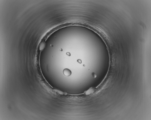 X0000113150880200909041231