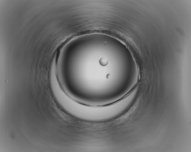 X0000113150881200909041231