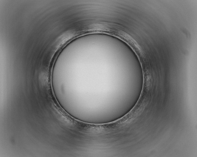 X0000113150882200909041231