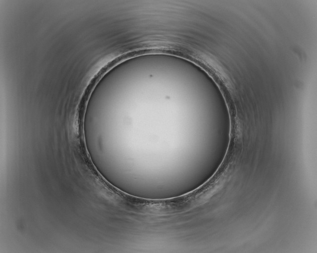 X0000113150883200909041231