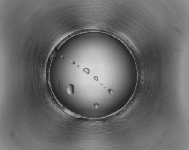 X0000113150884200909041231