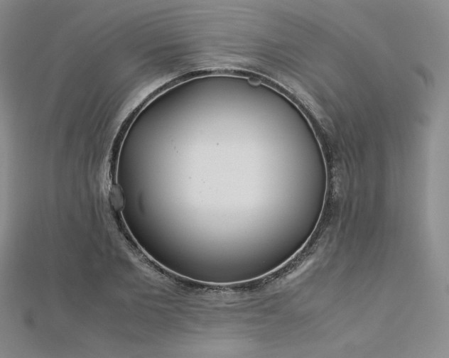 X0000113150885200909041231