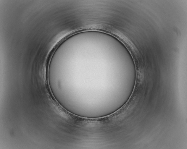 X0000113150886200909041231