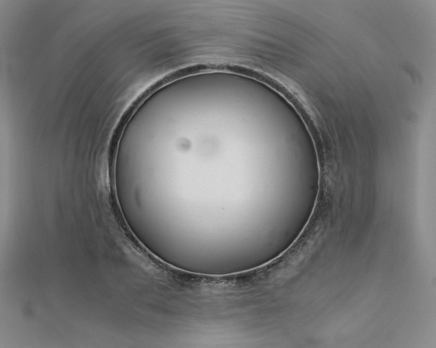 X0000113150887200909041231