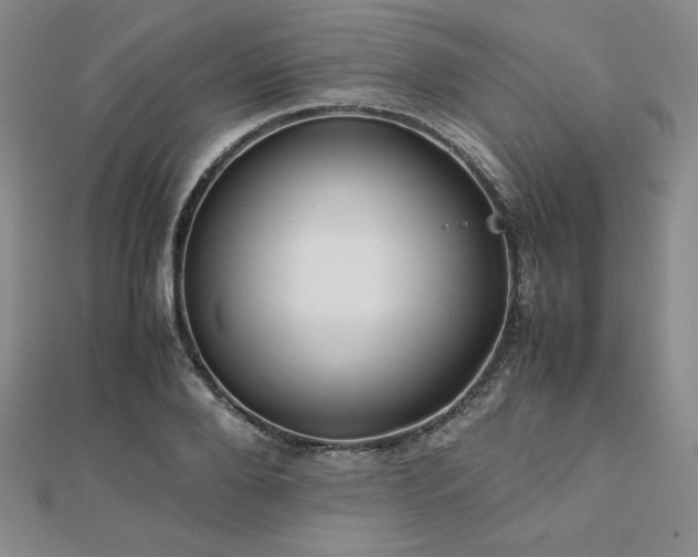 X0000113150888200909041231