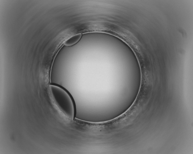 X0000113150889200909041231