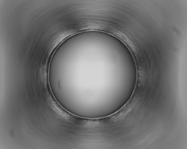 X0000113150890200909041231