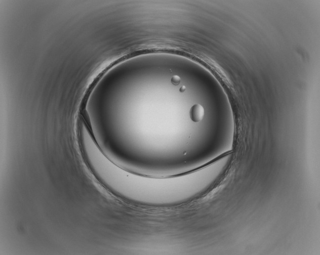 X0000113150893200909041230