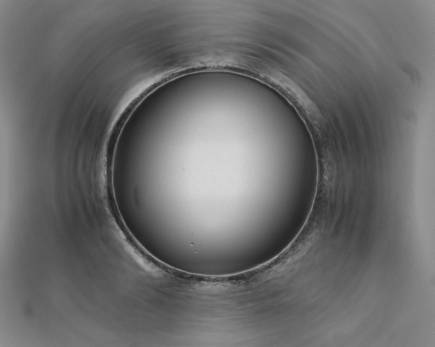 X0000113150894200909041230