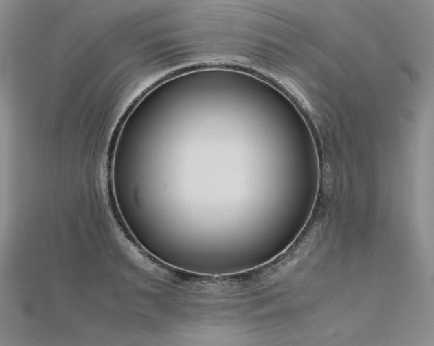 X0000113150895200909041230