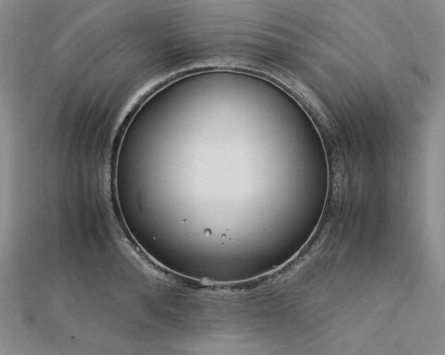 X0000113150896200909041230