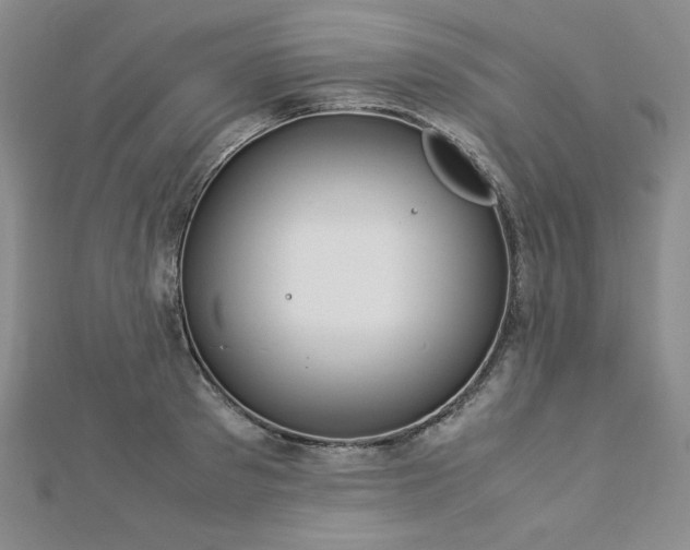 X0000113150897200909041230