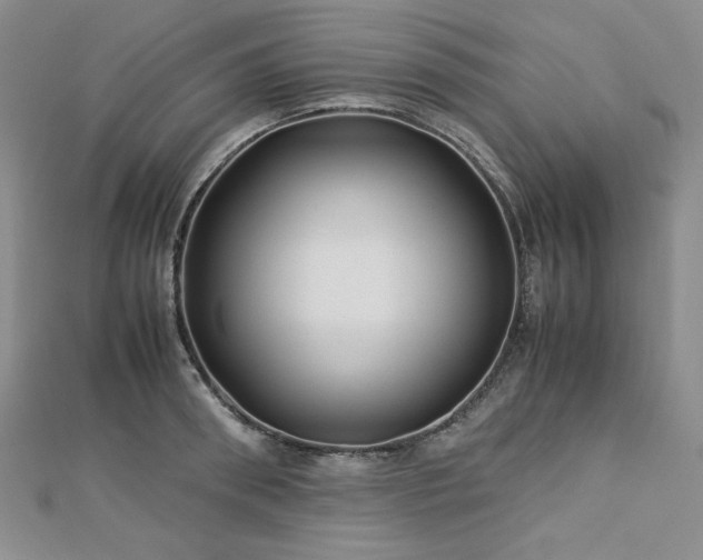 X0000113150898200909041230