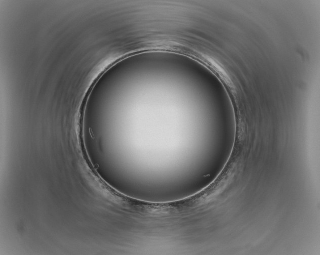 X0000113150899200909041230