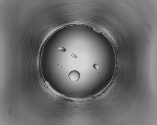 X0000113150900200909041230