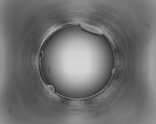 X0000113150901200909041230