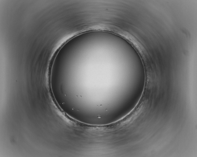 X0000113150902200909041230