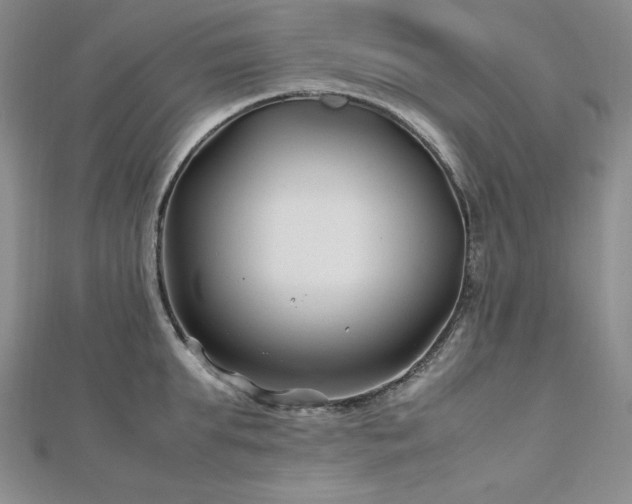 X0000113150903200909041230