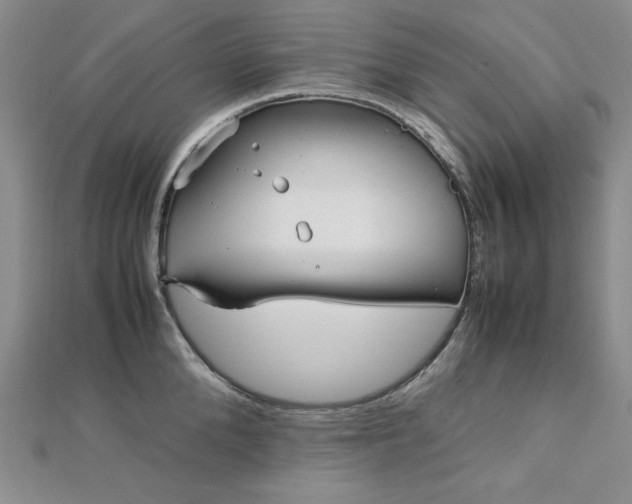 X0000113150904200909041230