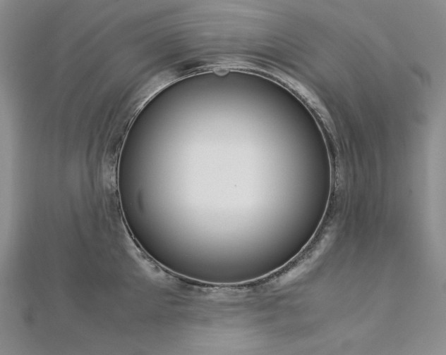 X0000113150905200909041230