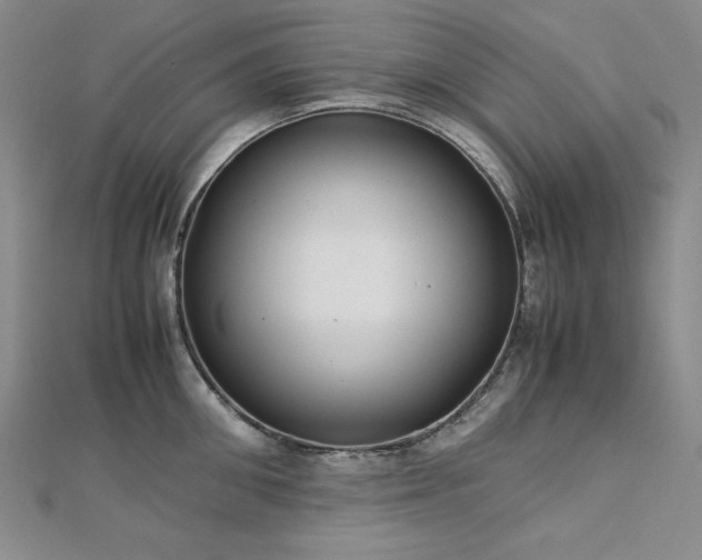 X0000113150906200909041230