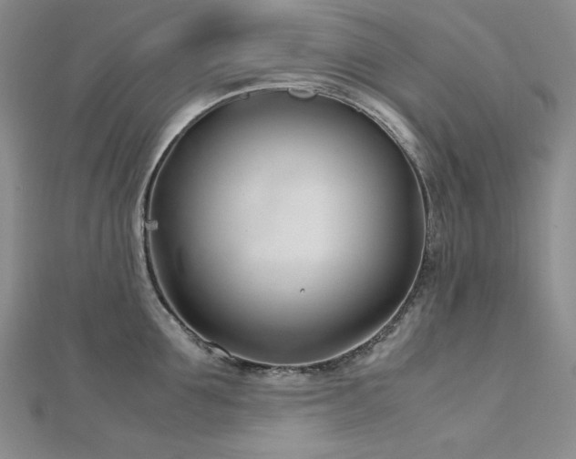 X0000113150907200909041230