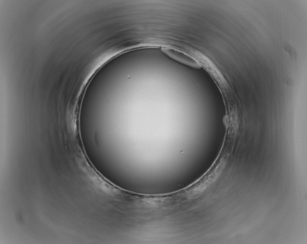 X0000113150908200909041230