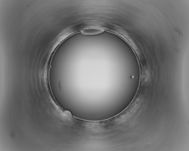 X0000113150909200909041230