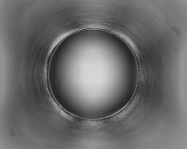 X0000113150910200909041230