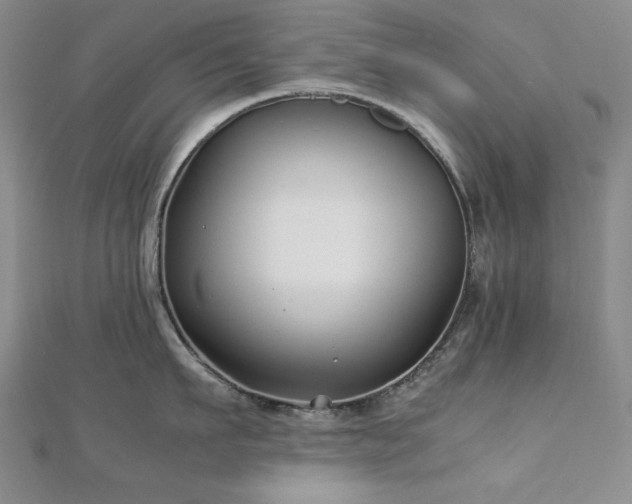 X0000113150911200909041230