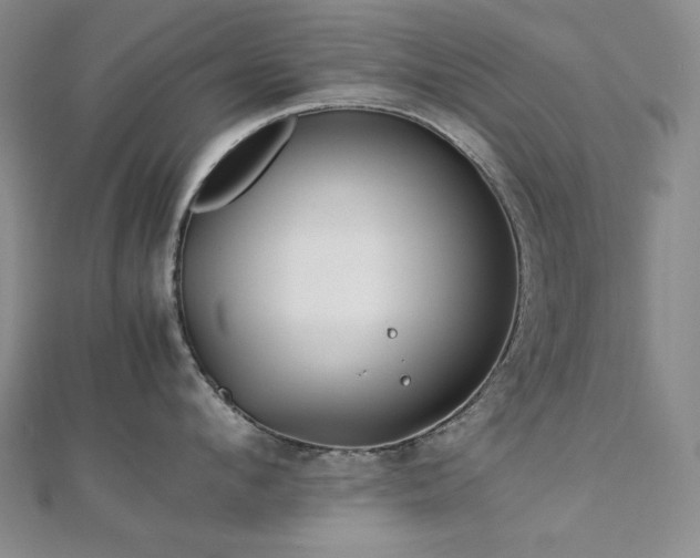 X0000113150912200909041230