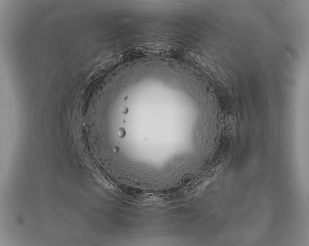 X0000113150913200909041230