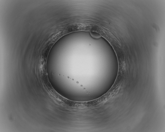 X0000113150914200909041230