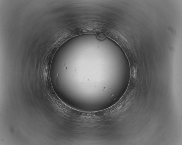 X0000113150915200909041230