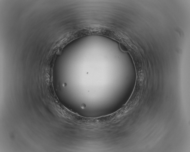 X0000113150916200909041230